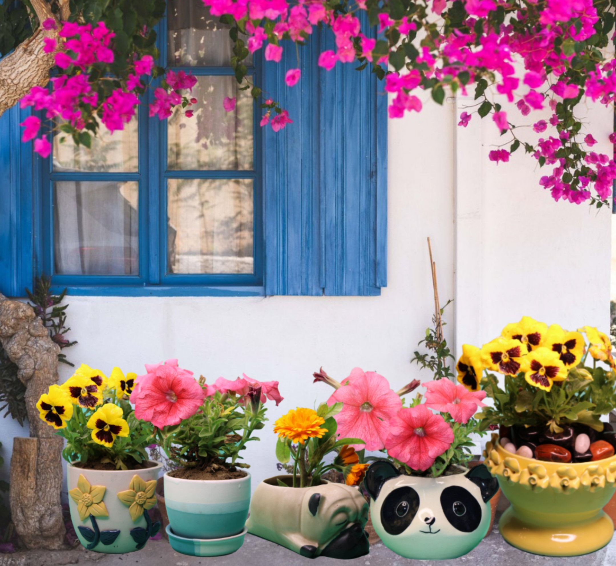 Ceramic Planters