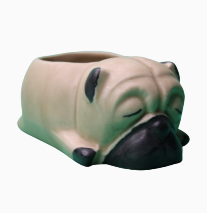 BERRYCRAVE RESIN PLANTER CERAMIC bull dog baby - side