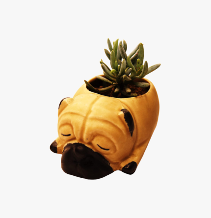 Berrycrave Bull Dog Planter