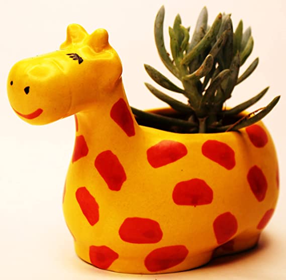 Giraffe Planter